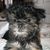 M Joan Malpas's profile image