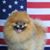Babbi Meyer's profile image