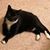 Brenda Lynch Richardson's profile image