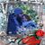Teresa Mast Glahn's profile image