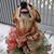 Melissa Mastroni's profile image