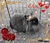 Lori D.'s profile image