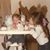 Staci Bender's profile image