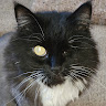 Brian's profile image
