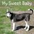 Theresa Beebe's profile image
