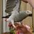 Donna L Terlaje's profile image