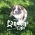 Jamie Haugen's profile image