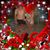 Carla Rodriguez's profile image