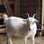 Judy McKinney's profile image