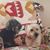 Rose Marie O'Dea's profile image