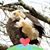 Cheryl Bennett's profile image