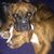 Tammy Morse-Durden's profile image