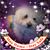 Donna Walters's profile image