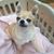 Phyllis Ann's profile image