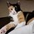 Karen Jones's profile image