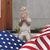 Michele Ellis Williams's profile image