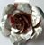 Begay TaRon's profile image