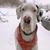 Joell Salfer's profile image