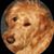 Art Dake Jr's profile image
