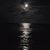Randy A Reel's profile image