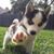 Jose Antonio Martinez's profile image