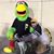 Jason Mottillo's profile image