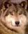 A C.'s profile image