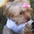 Laura Waddell's profile image