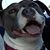 Deena Lamb Colleran's profile image