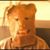 Jason Rochester's profile image