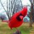 Chris Harding's profile image