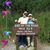 Denise Nelson-Cochran's profile image