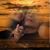 Anjanette Salvo Jones's profile image