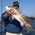 Jody Papalia's profile image