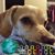 Mona Albright's profile image