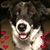 Vickie Ahlgren's profile image