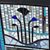 Ron Yankey's profile image
