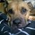 Pat Saladino Latona's profile image