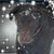 Debbie Welborn Austin's profile image