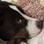Nancy Mason Gregg's profile image