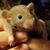Sandy Warren Ackley's profile image