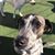 Lori Bowland's profile image
