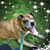 Justine Peters's profile image