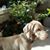 Sue S Shimek-Kusche's profile image