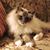 Jackie Irving- Gardner's profile image