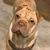 Crystal Meis's profile image
