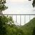 Gail Vaughns's profile image
