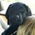 Nicole Carleton's profile image