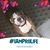 Terie Dorry's profile image