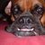 Ronnie Rose's profile image